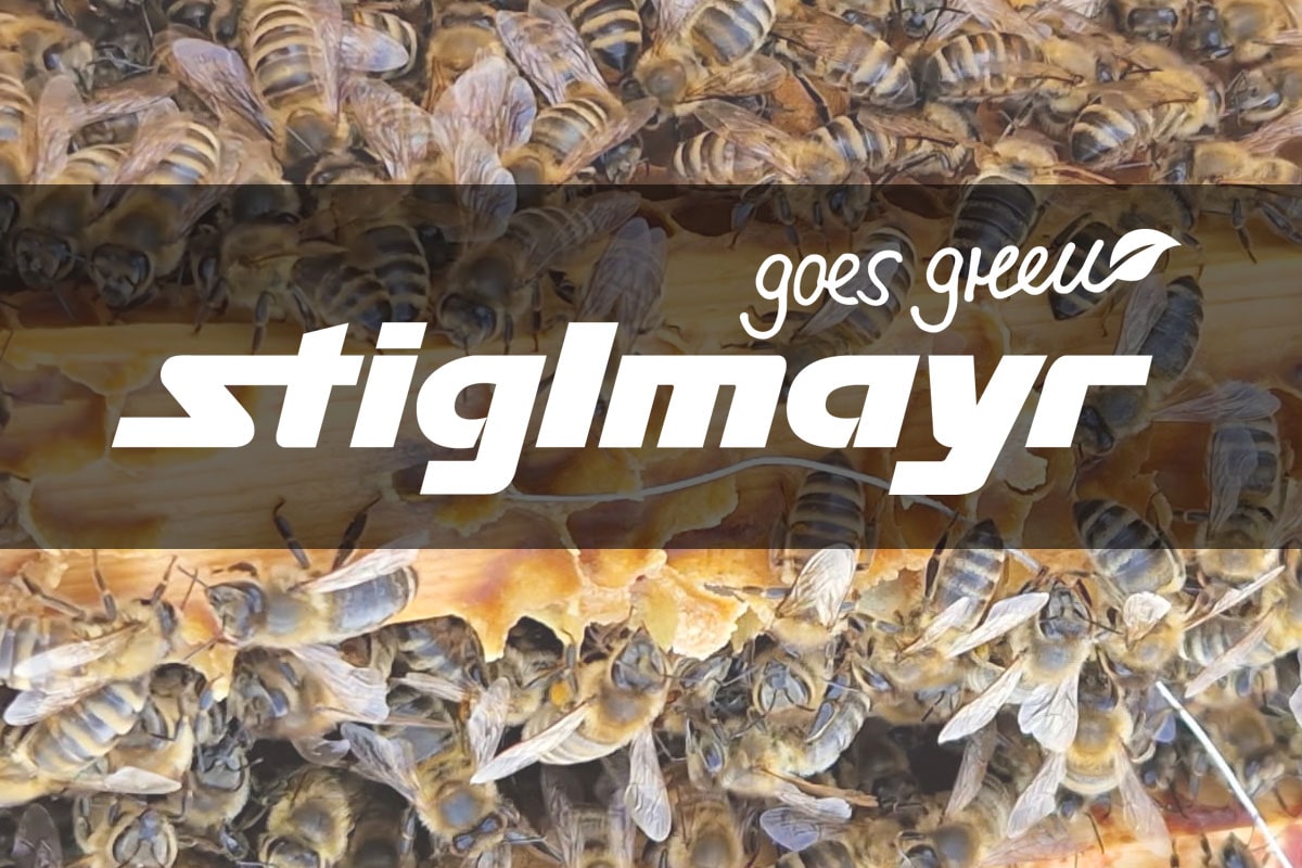 Bild zeigt das Logo Stiglmayr goes green mit Bienen in einer Honigwarbe im Hintergrund.